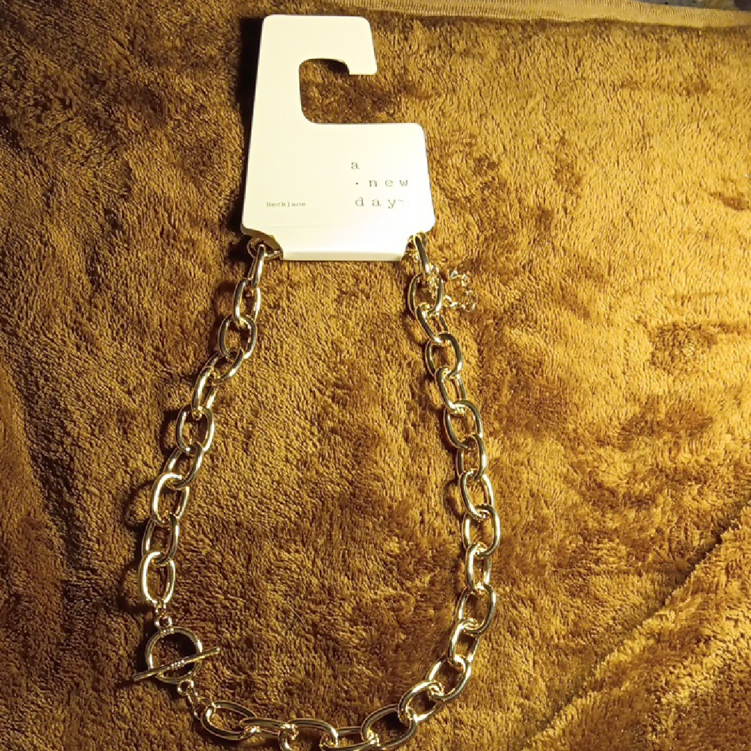 A New Day Gold Minimalist Chain Necklace 10$